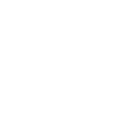 UI/UX Design icon