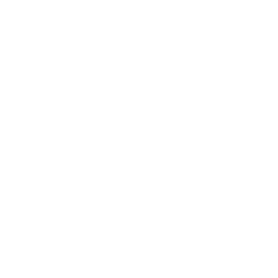 Web Development icon